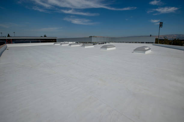 Best Flat Roofing  in Marianna, FL